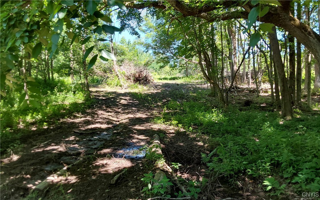 1273 Newport-Gray Road Newport, NY 13416 - Photo 10 of 25