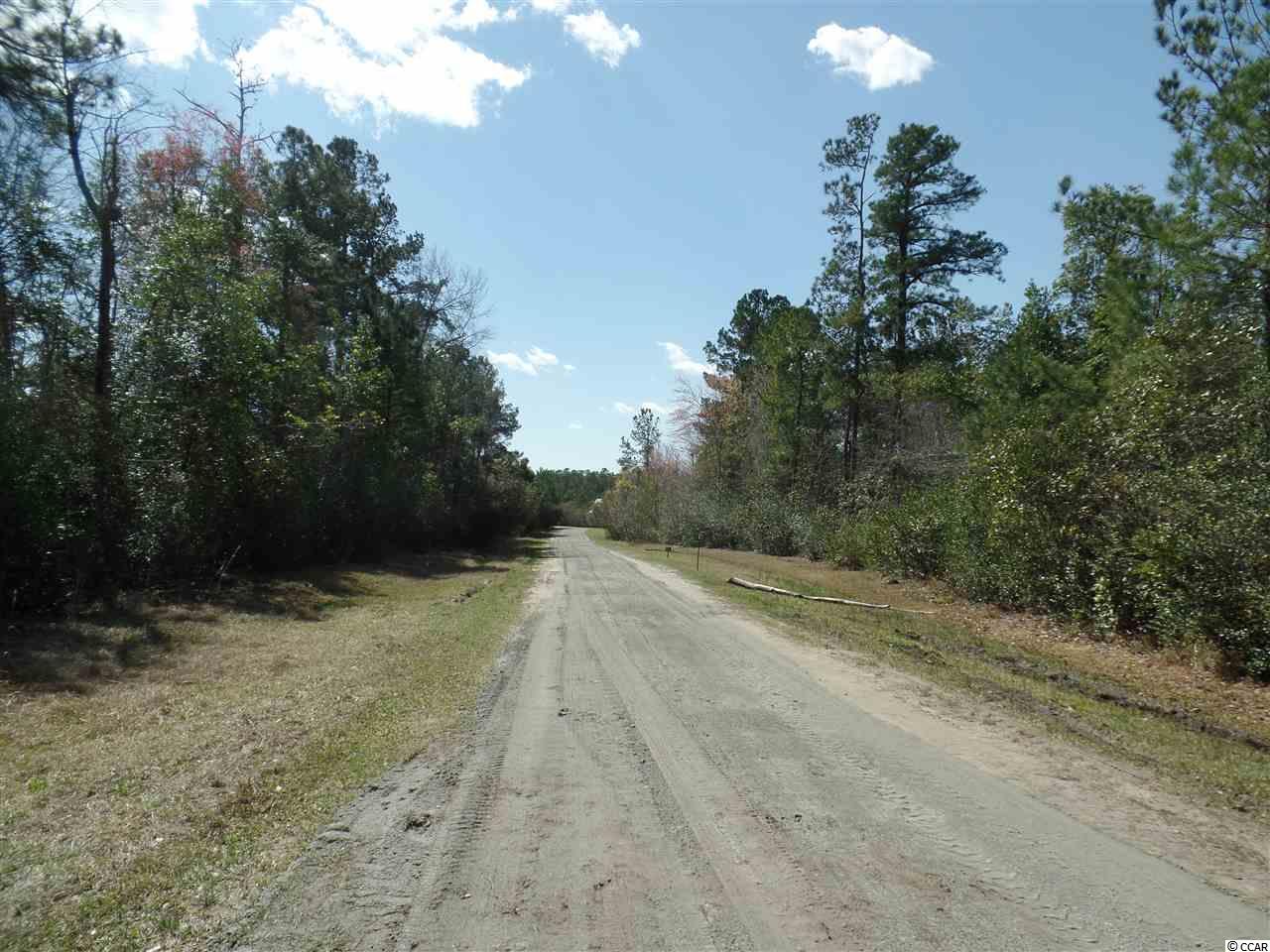 1416 Daisy Road Loris, SC 29569 - Photo 28 of 34 Gallery Image 28