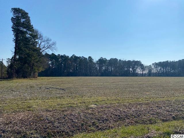 4.5-acs Grainger Road Nichols, SC 29581 - Photo 1 of 3 Gallery Image 1