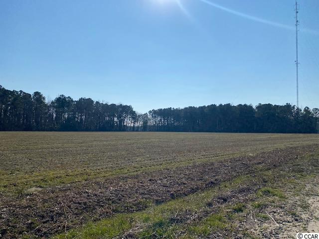 4.5-acs Grainger Road Nichols, SC 29581 - Photo 2 of 3 Gallery Image 2