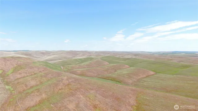 $769,000 | 0 Wooden Road, Prescott, WA 99348