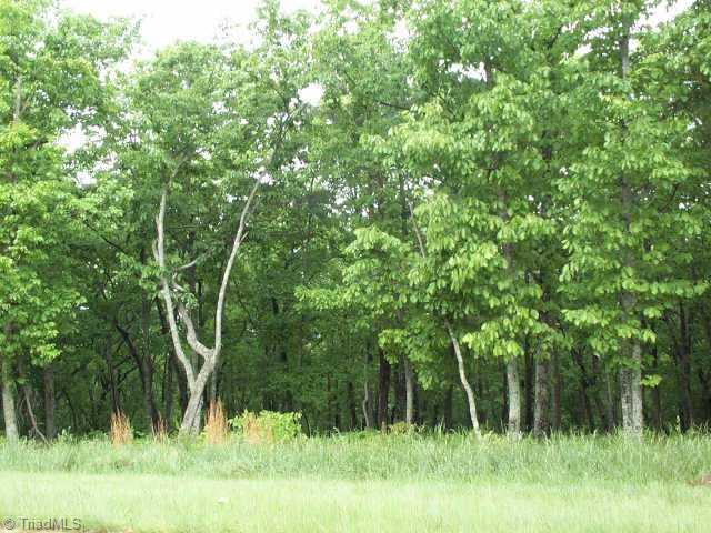 611 Sierra Trace Road Denton, NC 27239 - Photo 1 of 2 Exterior Front. 2.40 acres wooded.