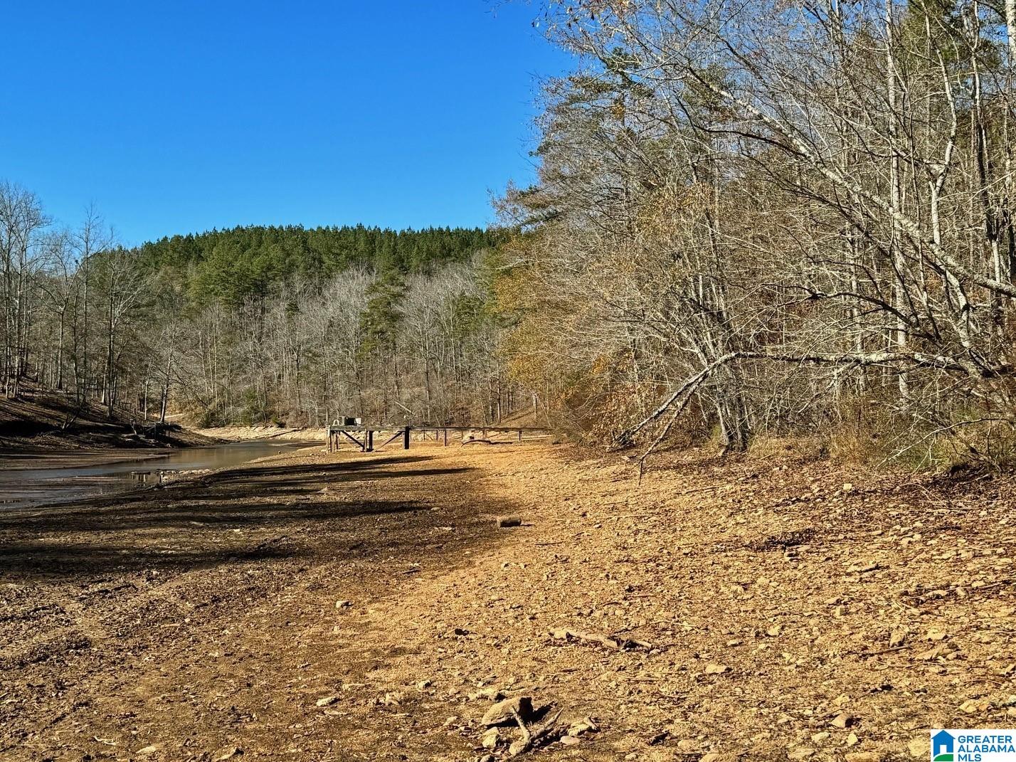 7 County Road Wedowee, AL 36278 - Photo 3 of 9