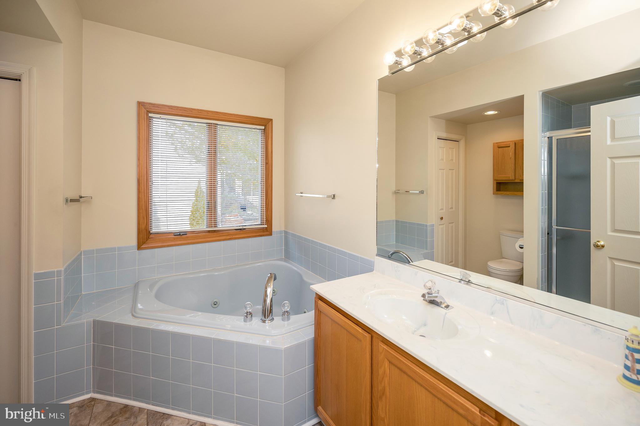 105 Ramsay Road Locust Grove, VA 22508 - Photo 29 of 60 Spa like primary bathroom