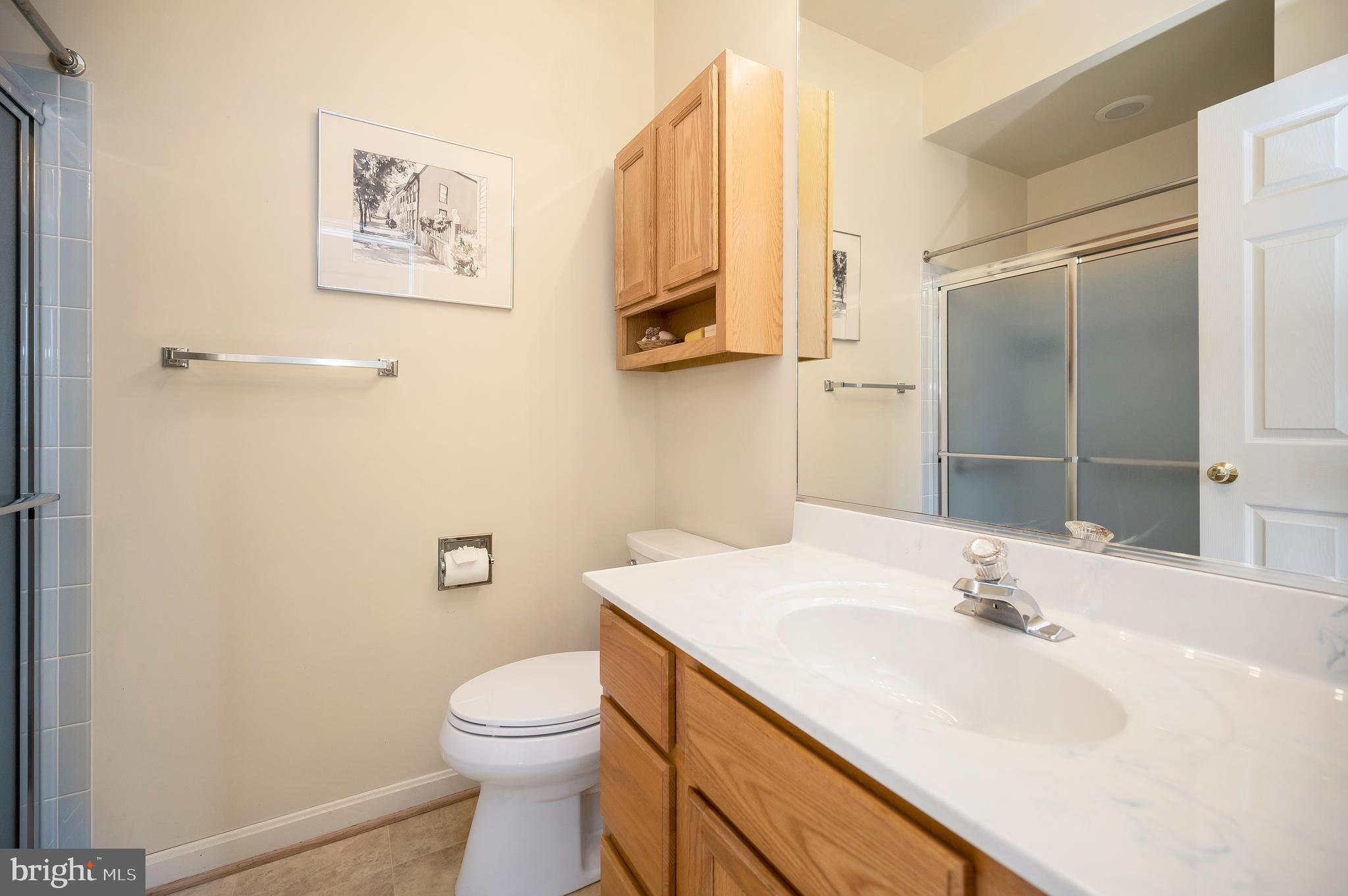 105 Ramsay Road Locust Grove, VA 22508 - Photo 32 of 60 Main level guest bathroom