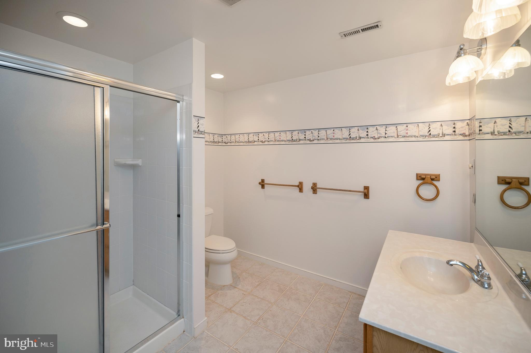 105 Ramsay Road Locust Grove, VA 22508 - Photo 40 of 60 Lower level full bath/changing area