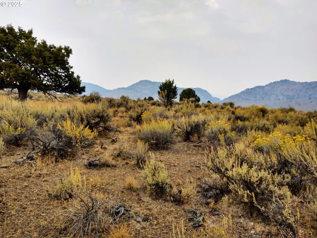 $125,000 | 0 Th, Unity, OR 97884