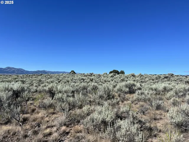 $125,000 | 0 Th, Unity, OR 97884