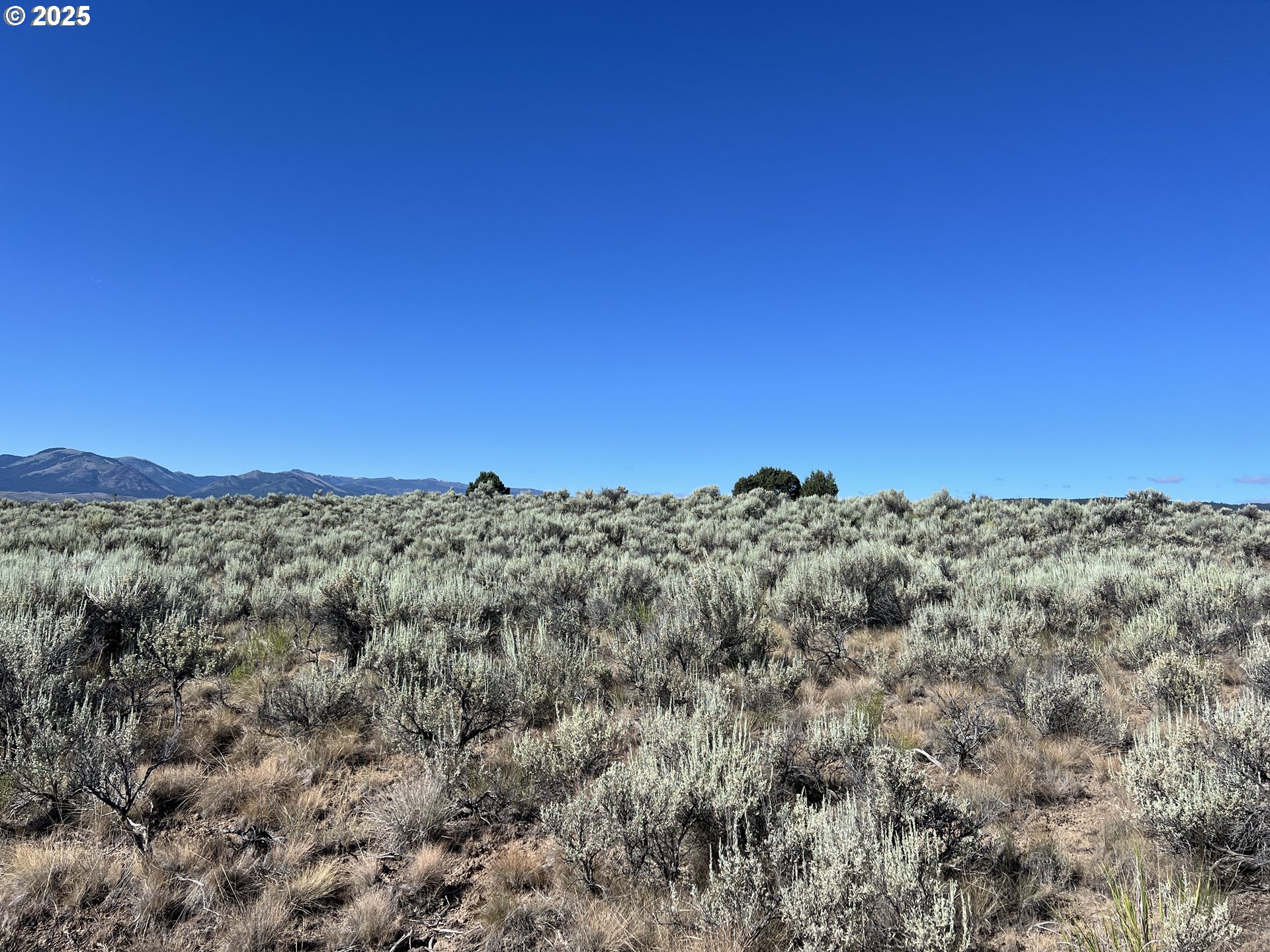 0 Th Unity, OR 97884 - Photo 14 of 28