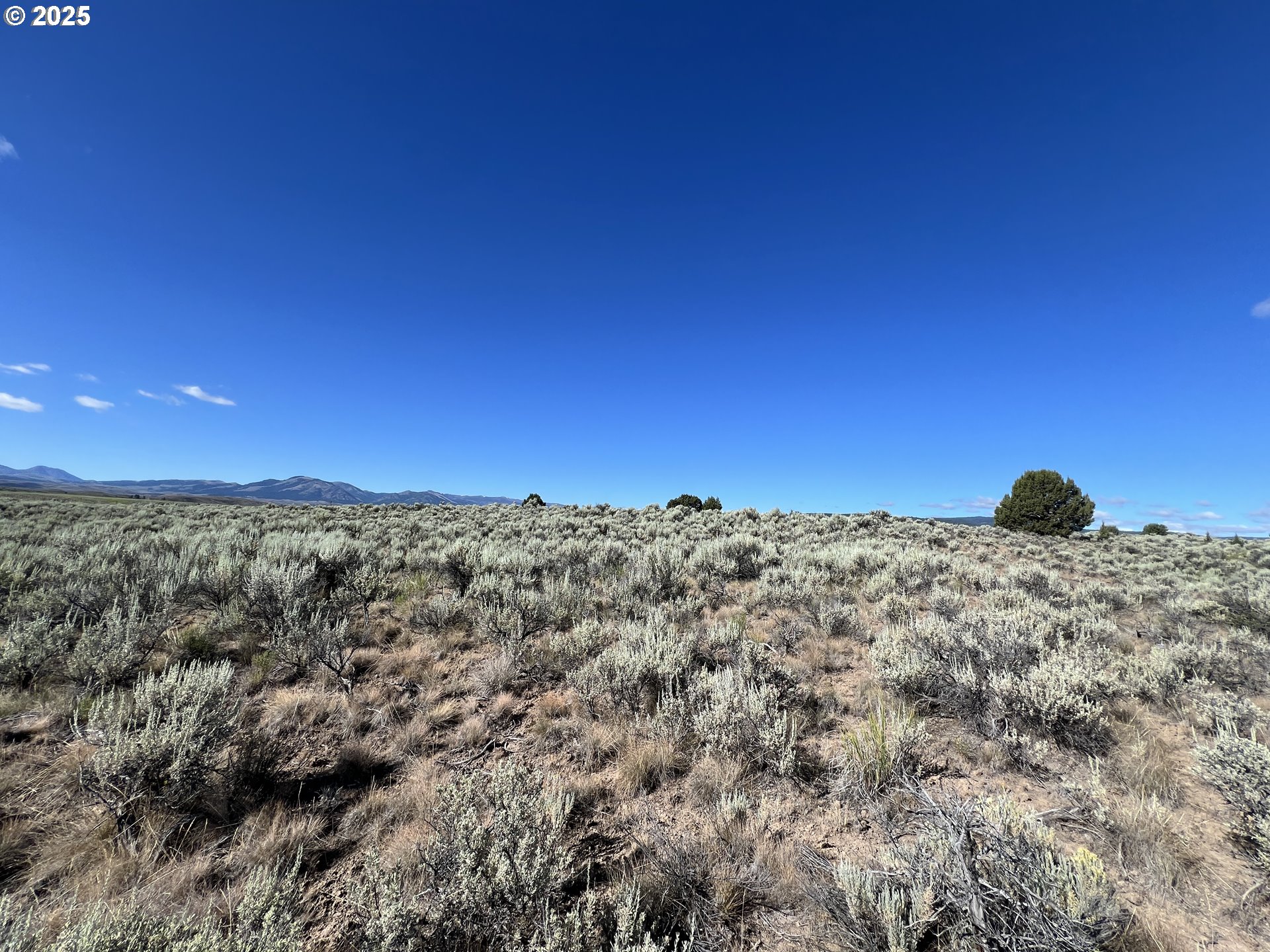 0 Th Unity, OR 97884 - Photo 15 of 28