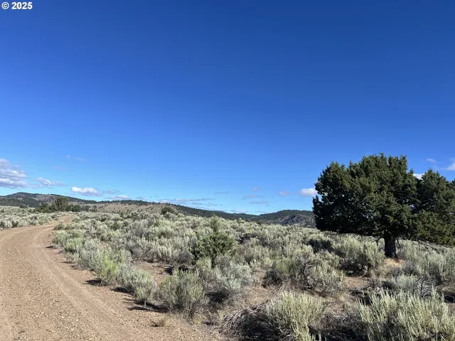$125,000 | 0 Th, Unity, OR 97884