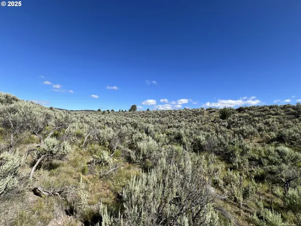 $85,000 | 0 Th, Unity, OR 97884