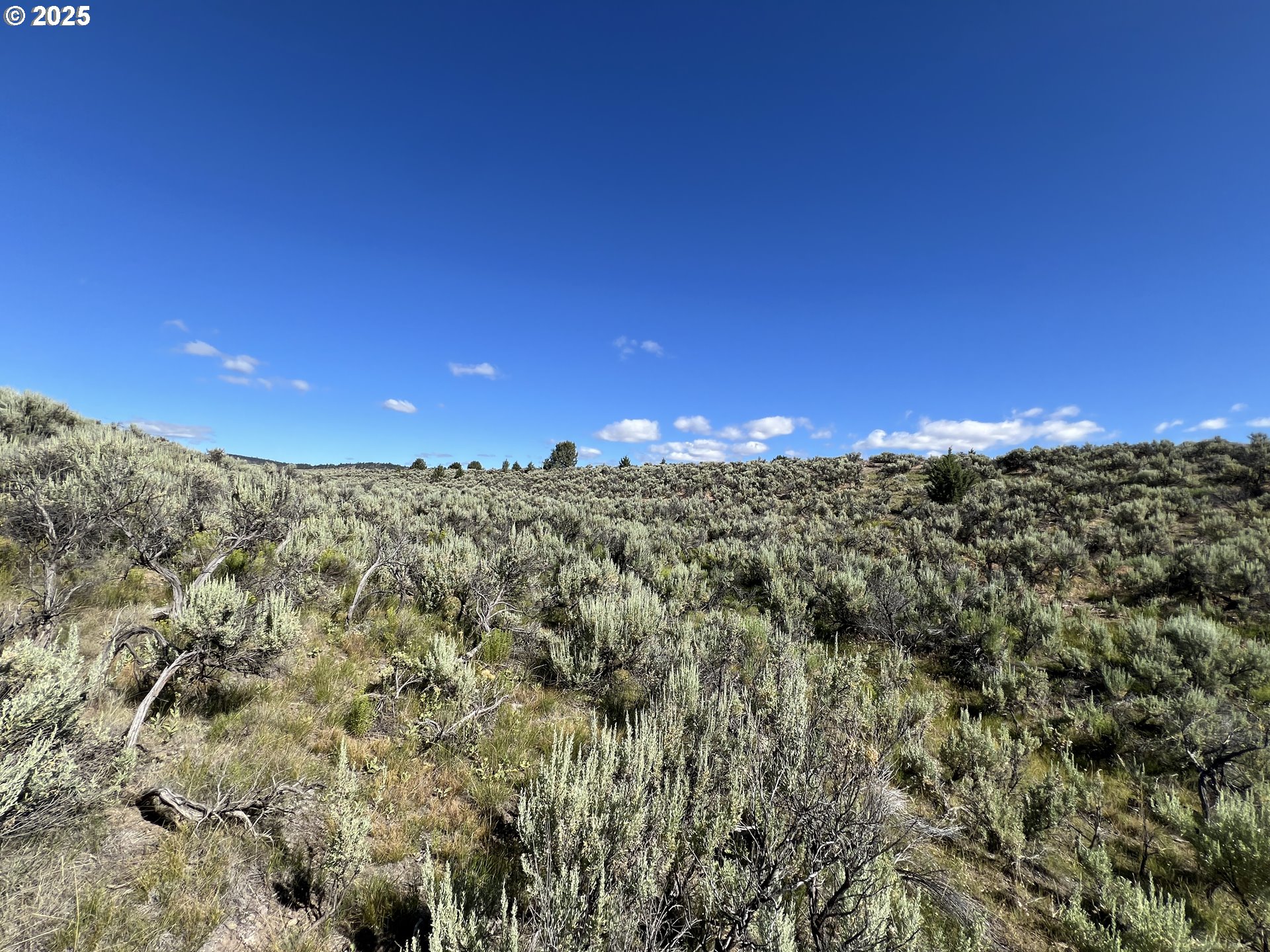 0 Th Unity, OR 97884 - Photo 28 of 28