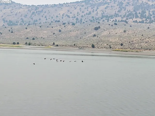 $125,000 | 0 Th, Unity, OR 97884