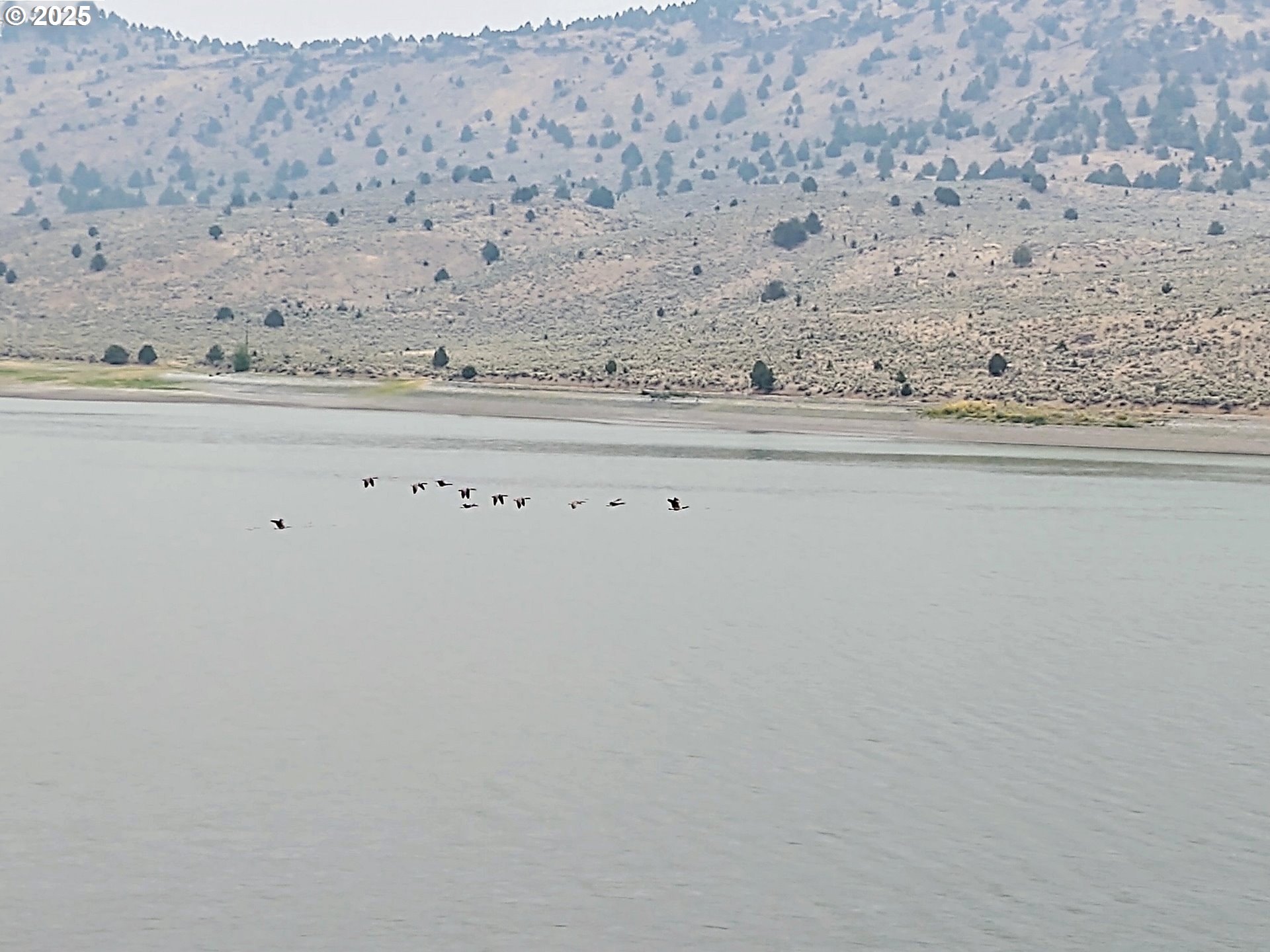 0 Th Unity, OR 97884 - Photo 9 of 28