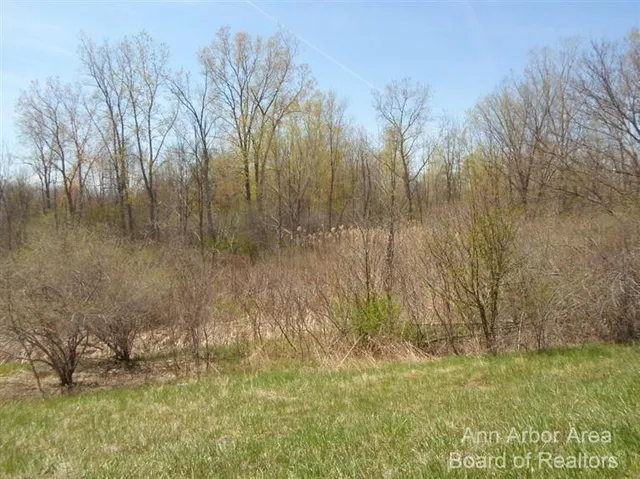 $1,300,000 | 1 East Main Street, Milan, MI 48160