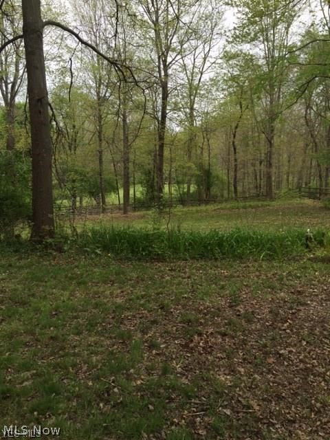 5319 Som Center Road Solon, OH 44139 - Photo 2 of 5 Gallery Image 2
