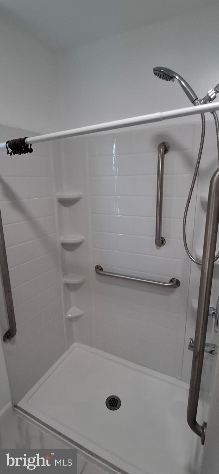 202 Holy Cross Road Brooklyn, MD 21225 - Photo 14 of 18 Modern accessible shower design.