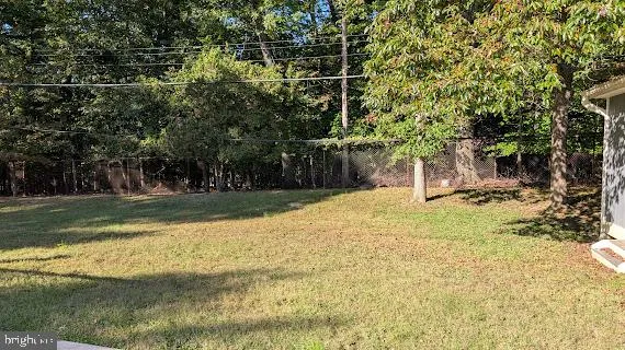 a view of a yard with trees