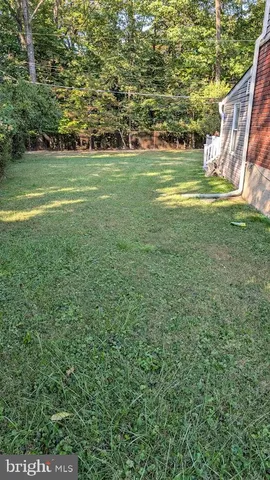 a view of a big yard with a large trees