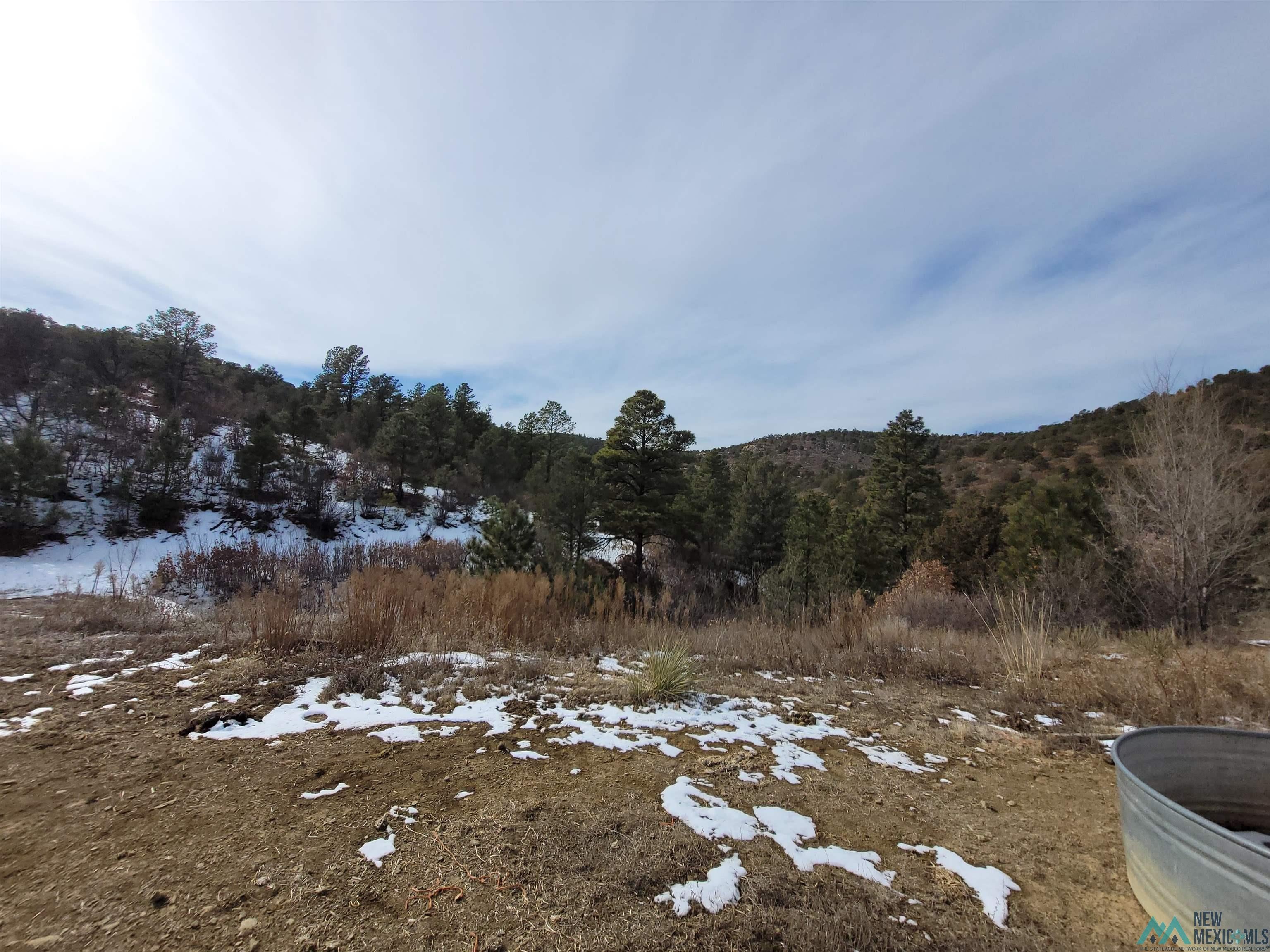 450 Francis Avenue Raton, NM 87740 - Photo 45 of 52 View up the canyon, covered in snow featuring a mountain view