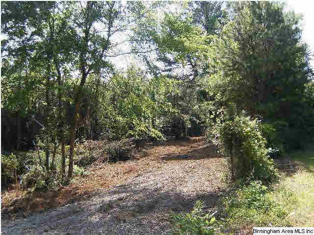 8290 Rouse Road Warrior, AL 35180 - Photo 1 of 1 Gallery Image 1