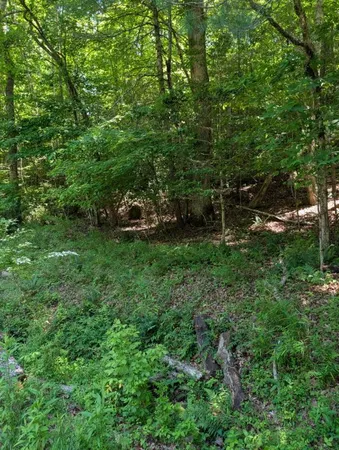 $25,000 | 0 Talc Mine Road, Murphy, NC 28906