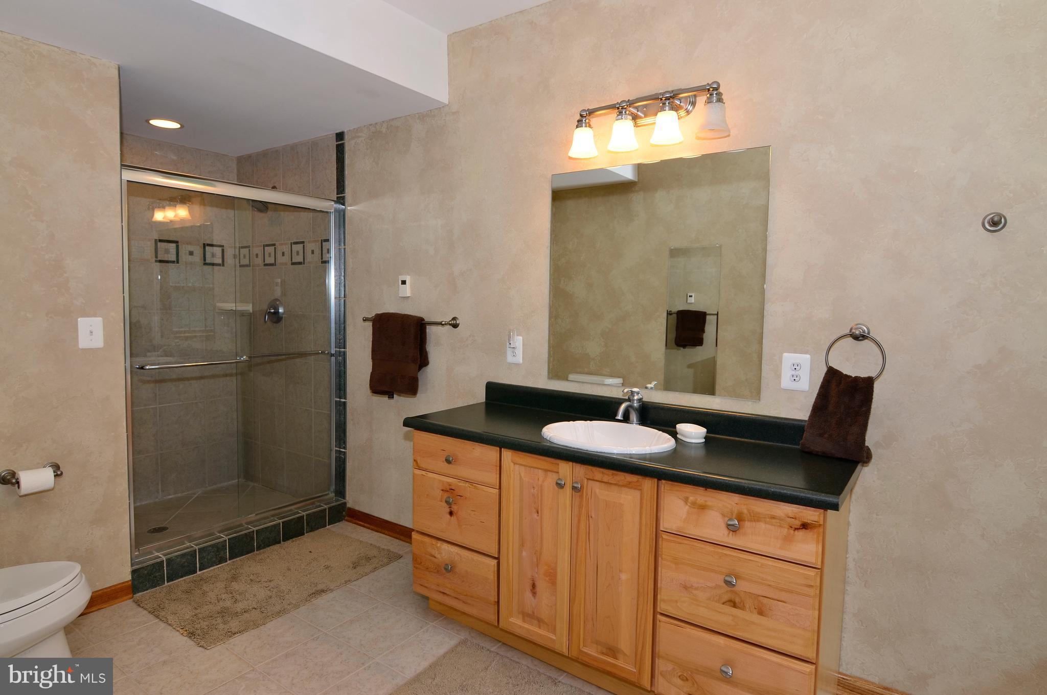 3821 Chantilly Road Chantilly, VA 20151 - Photo 26 of 33 Lower Level Master Bath
