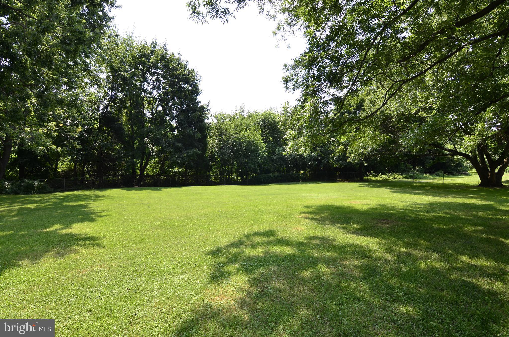 3821 Chantilly Road Chantilly, VA 20151 - Photo 27 of 33 Large Flat Backyard