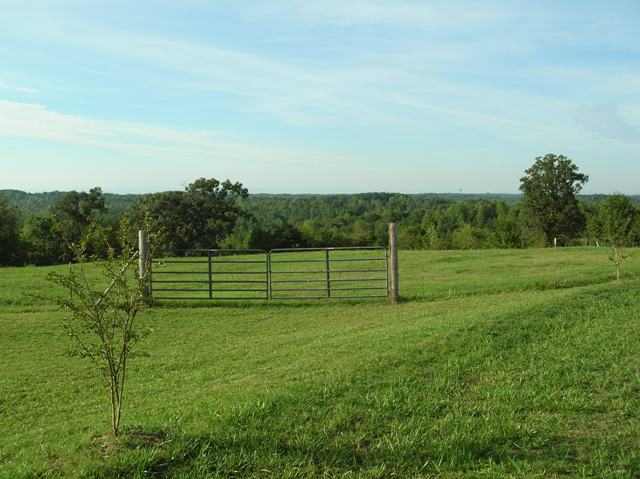 155 Bowen Farm Road Seneca, SC 29678 - Photo 7 of 17 Gallery Image 7