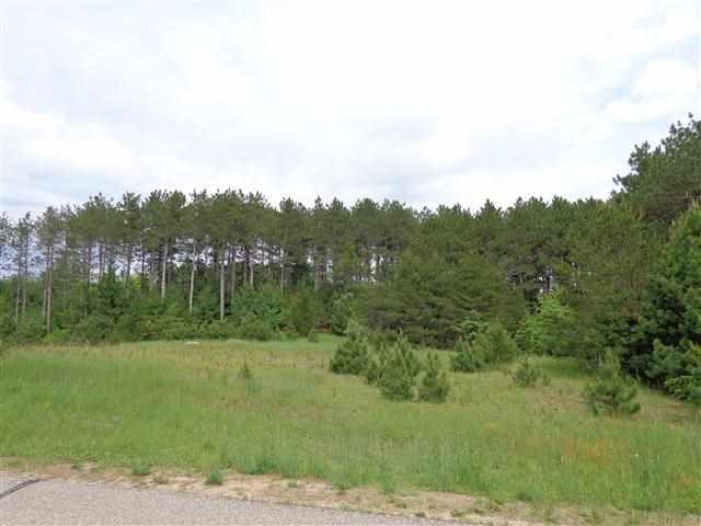 Lot 01 10th Street Stevens Point, WI 54482 - Photo 1 of 1