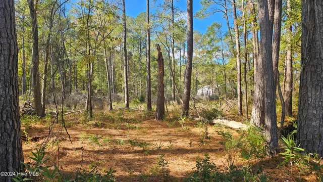 $59,900 | 0 Barnes Foster Loop Road, Belhaven, NC 27810