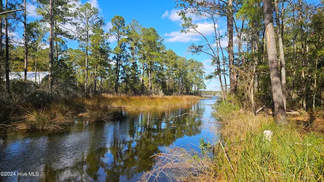 $59,900 | 0 Barnes Foster Loop Road, Belhaven, NC 27810