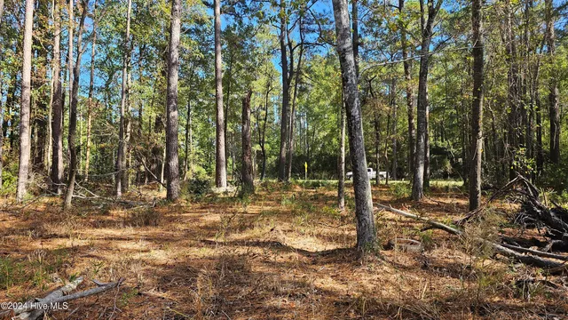 $59,900 | 0 Barnes Foster Loop Road, Belhaven, NC 27810