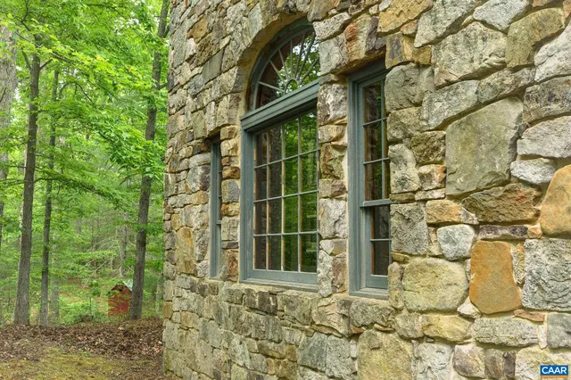 a view of a lush green forest
