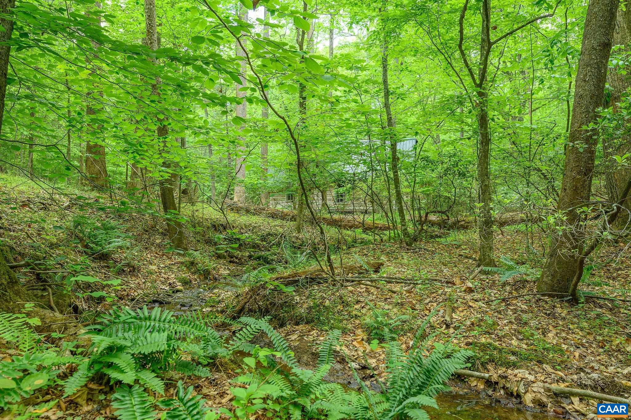 1816 Davis Shop Road Earlysville, VA 22936 - Photo 69 of 71