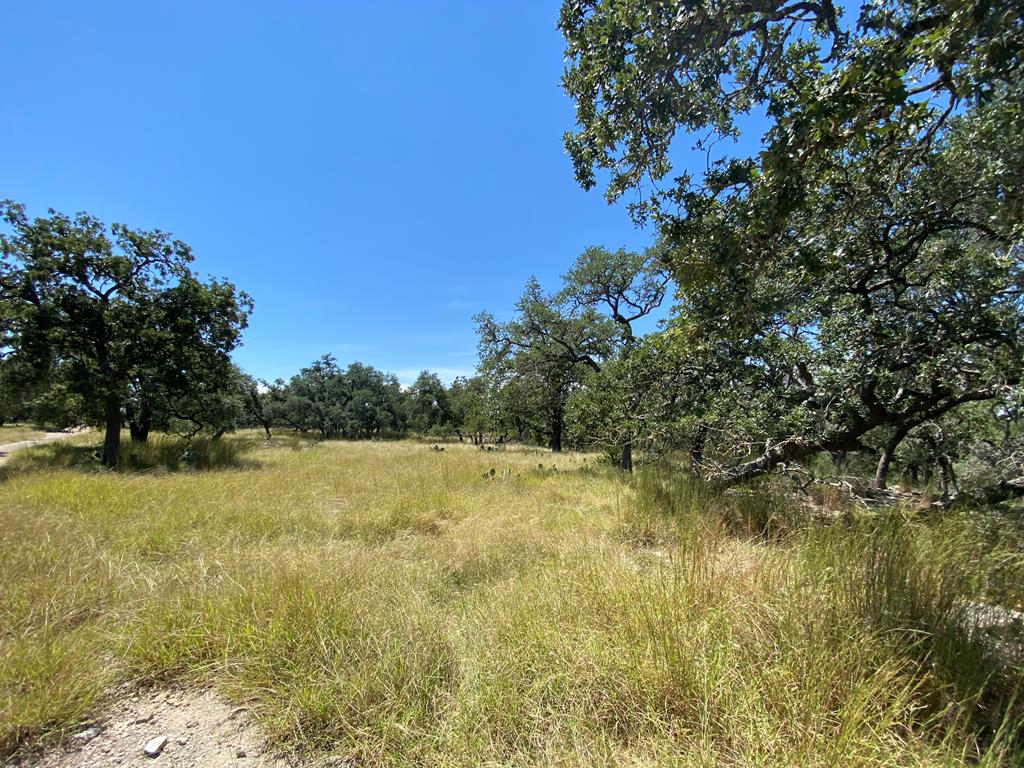 210 Dally Road Comfort, TX 78013 - Photo 68 of 79 Land