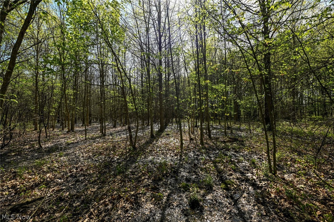 Oyster Road Alliance, OH 44601 - Photo 26 of 33 Gallery Image 26