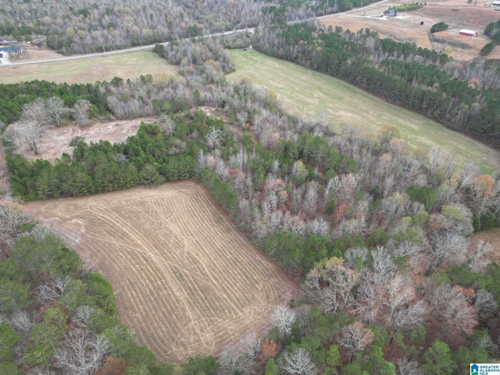 0 Nisbet Lake Road Jacksonville, AL 36265 - Photo 8 of 9