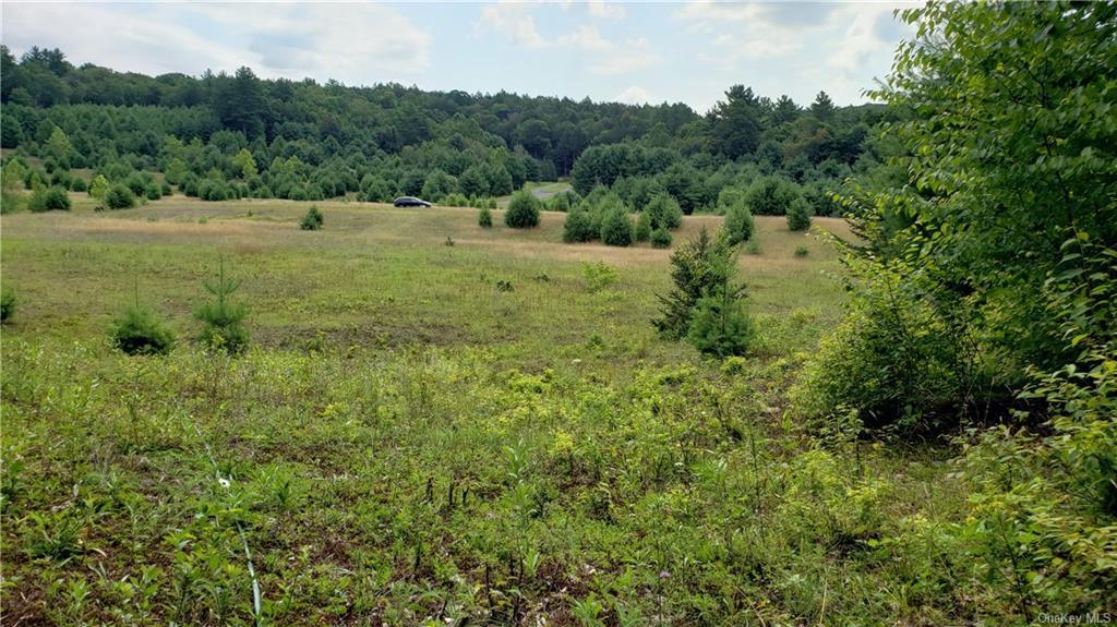 83 Road Glen Wild, NY 12738 - Photo 12 of 14 View of landscape