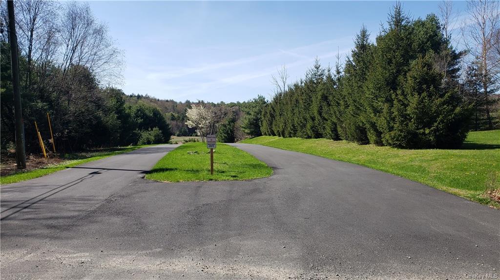 83 Road Glen Wild, NY 12738 - Photo 14 of 14 View of street