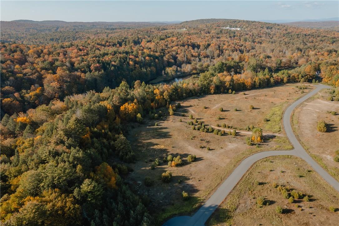 83 Road Glen Wild, NY 12738 - Photo 4 of 14 Birds eye view of property