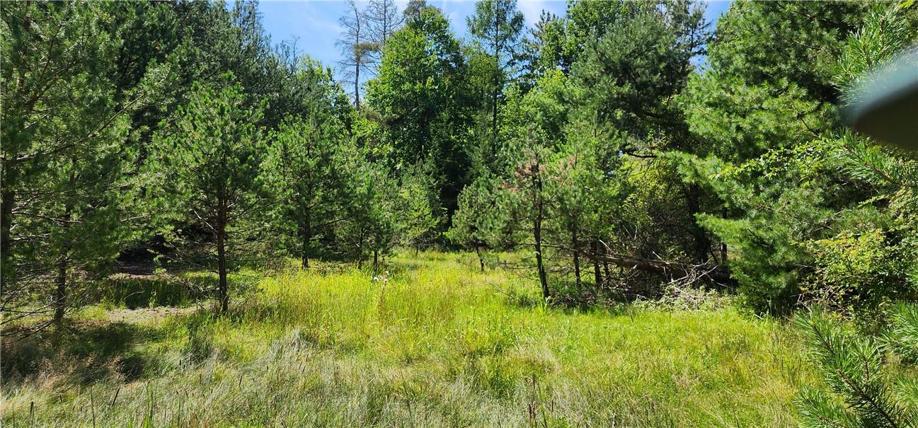 83 Road Glen Wild, NY 12738 - Photo 10 of 14 View of nature
