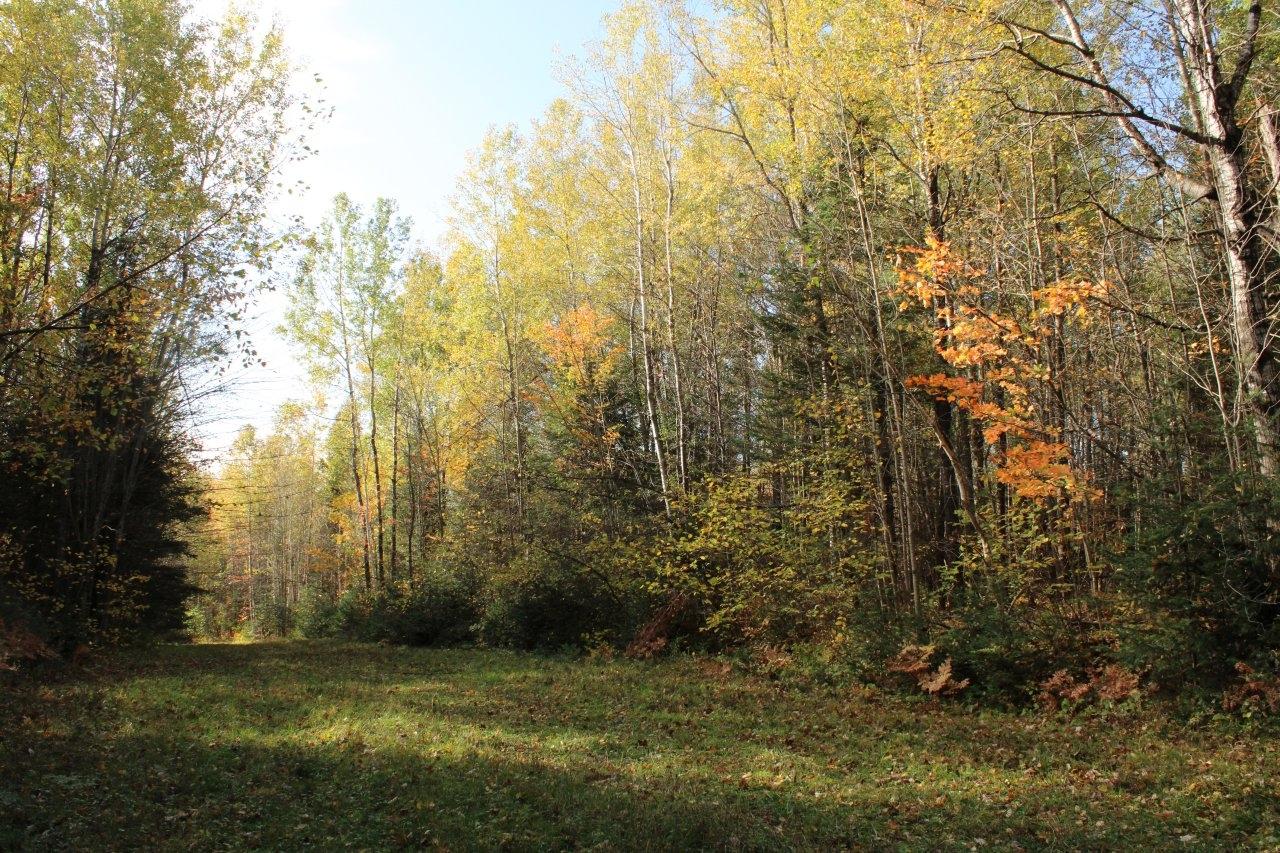 Off Warren Road Fifield, WI 54524 - Photo 18 of 28 Gallery Image 18