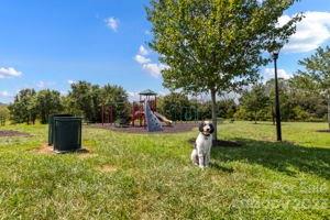 105 East Swift Creek Road Fletcher, NC 28732 - Photo 36 of 37 Gallery Image 36