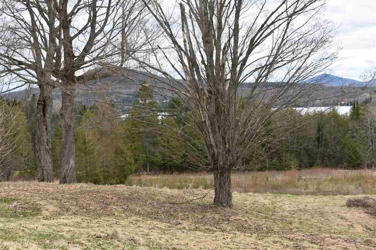 8283 Vermont Rte 111 Morgan, VT 05872 - Photo 4 of 31