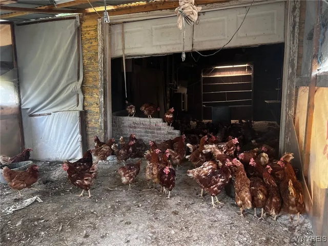 $949,900 | 3756 North Main Street Road, Murray, NY 14470