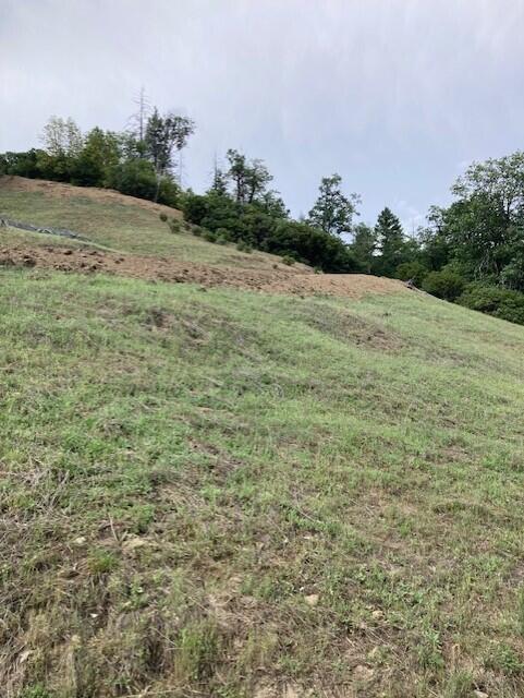 395 East Van Duzen Road Bridgeville, CA 95526 - Photo 17 of 19 a view of a field with an ocean