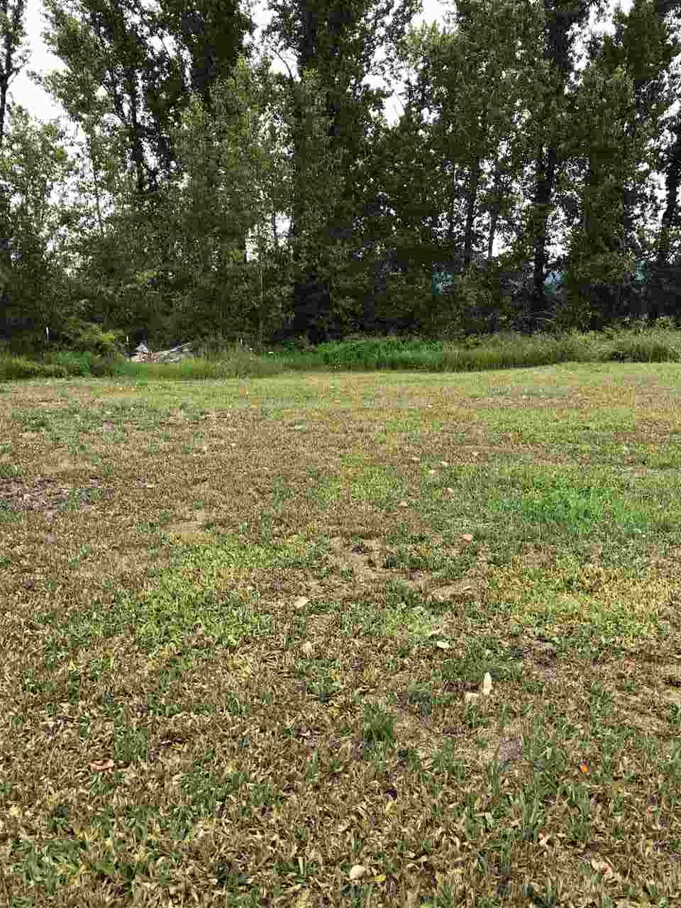 137 River Road Usk, WA 99180 - Photo 4 of 14