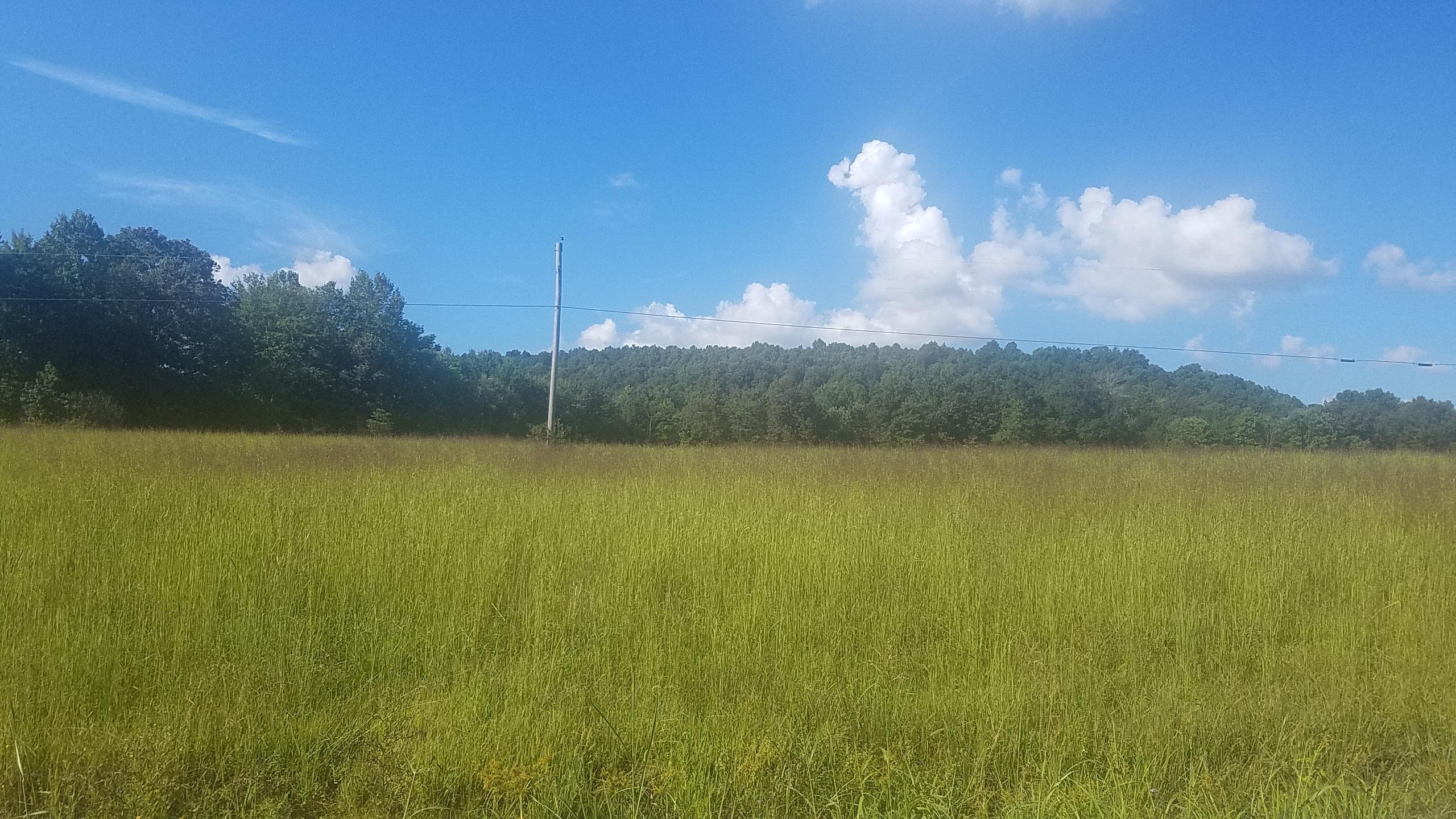 0 Riffe Creek Road Dunnville, KY 42528 - Photo 2 of 8 20180913_154612 (1)